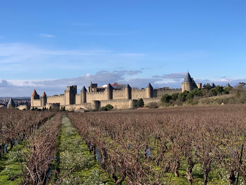 La Cour Carree - Chambres D'Hotes Carcassonne Eksteriør bilde